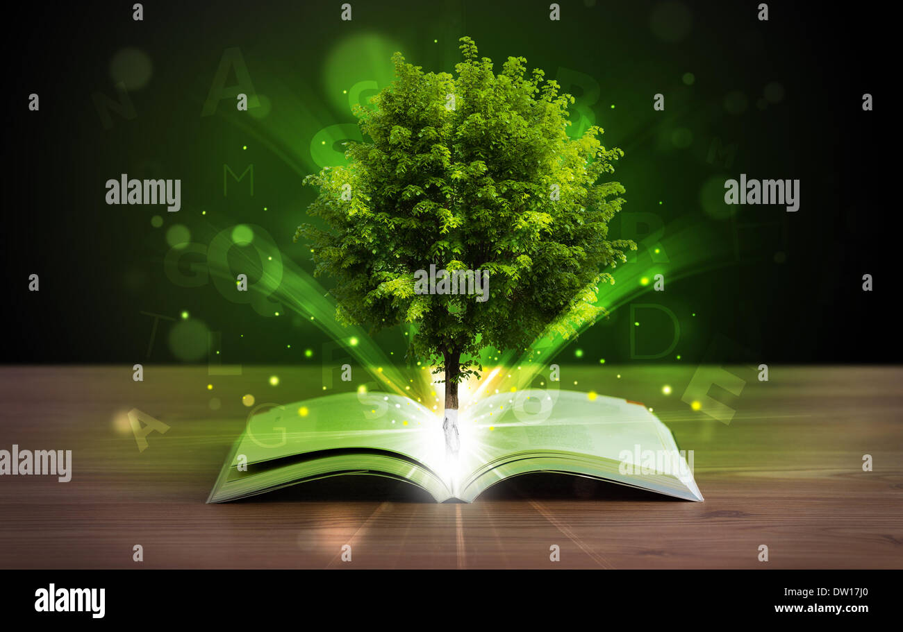 Open book with magical green tree and rays of light Stock Photo - Alamy