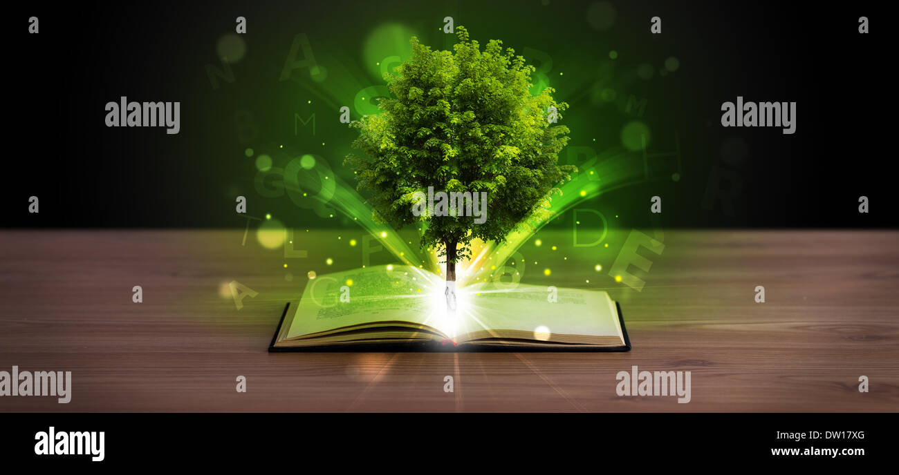 Open book with magical green tree and rays of light Stock Photo - Alamy