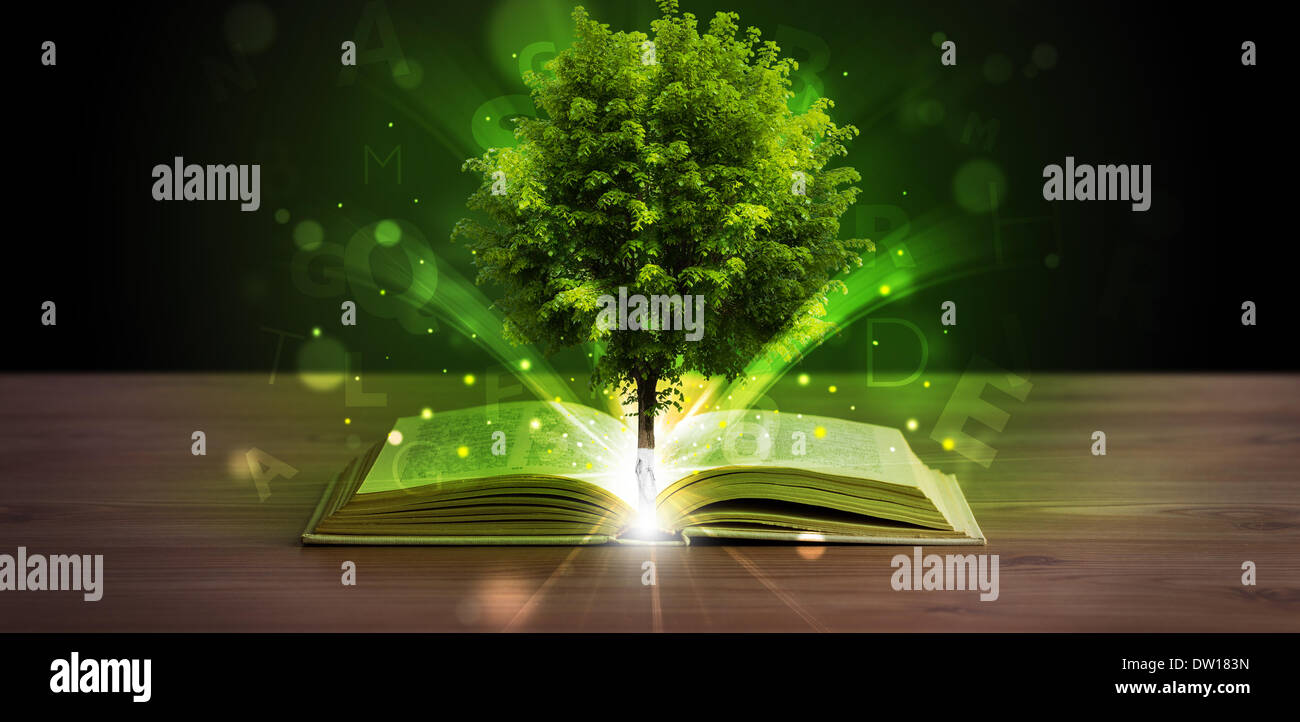Open book with magical green tree and rays of light Stock Photo - Alamy