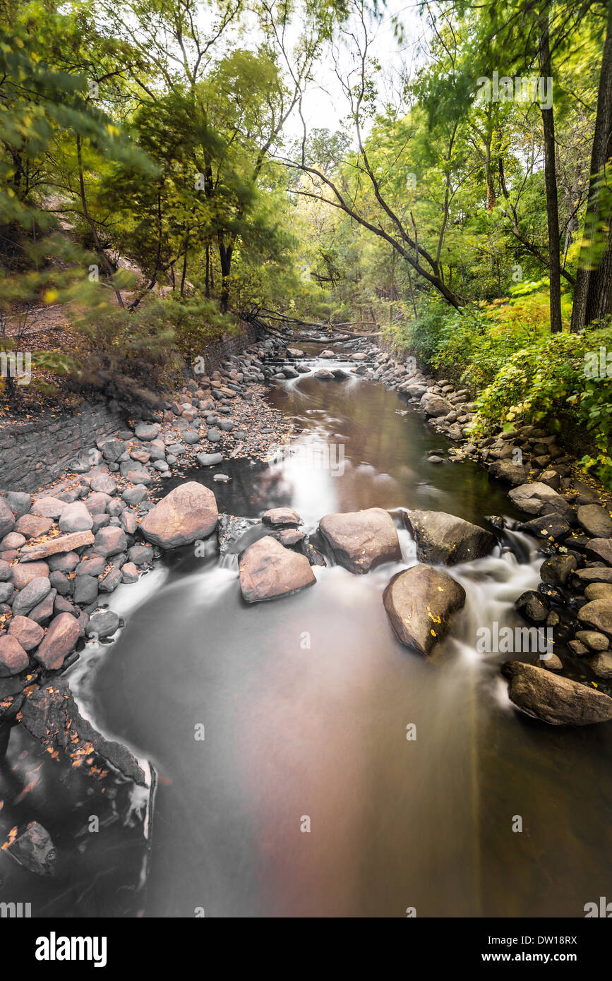 water flow through forest Stock Photo - Alamy