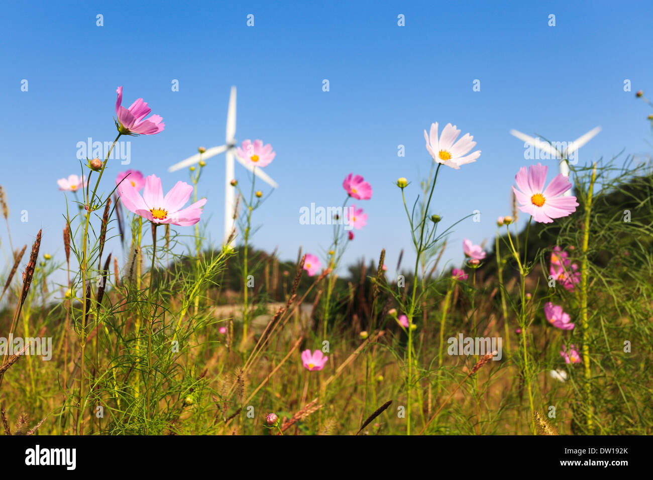 flower with wind power Stock Photo Alamy