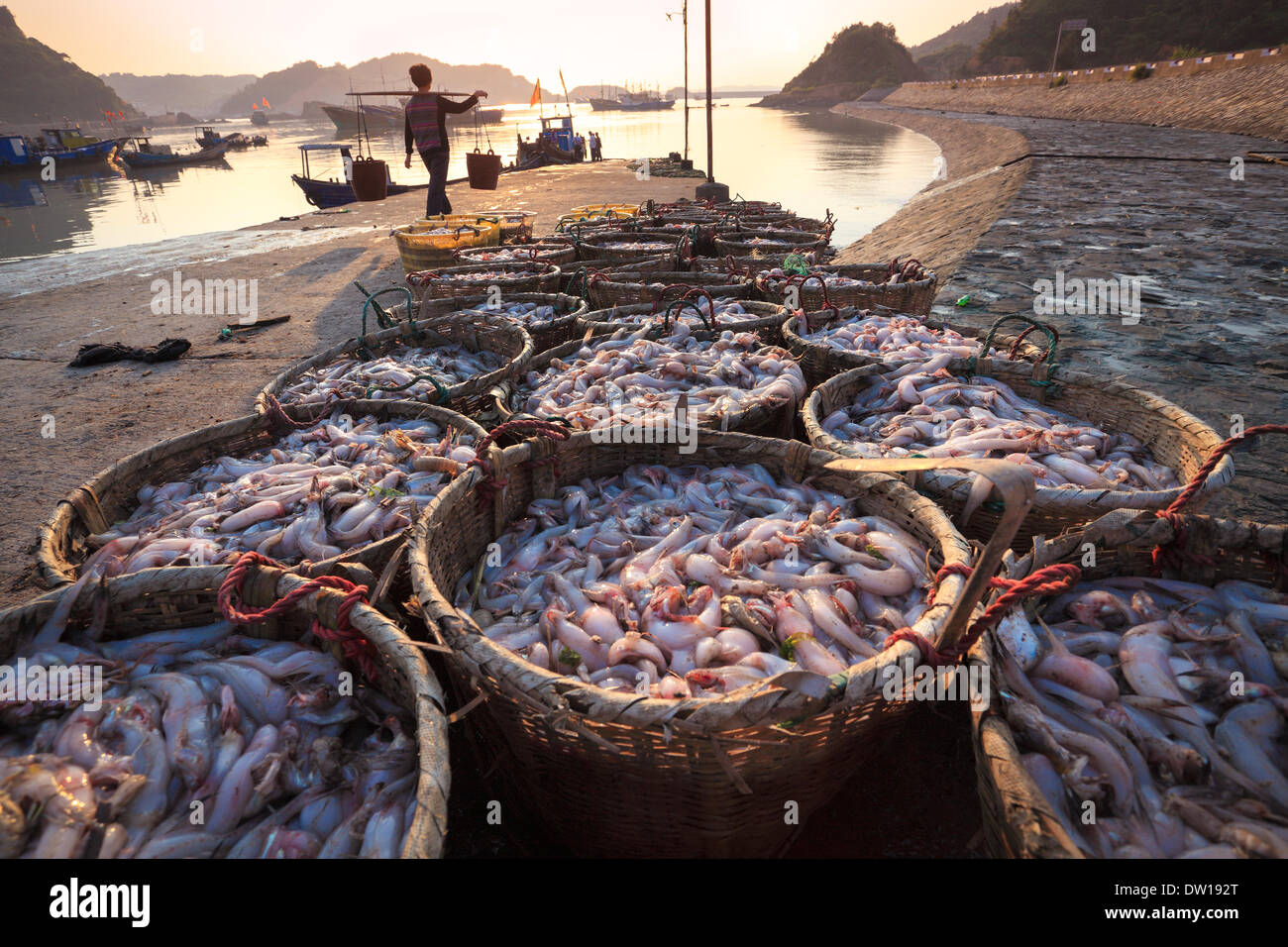 fishery harbor in morning Stock Photo