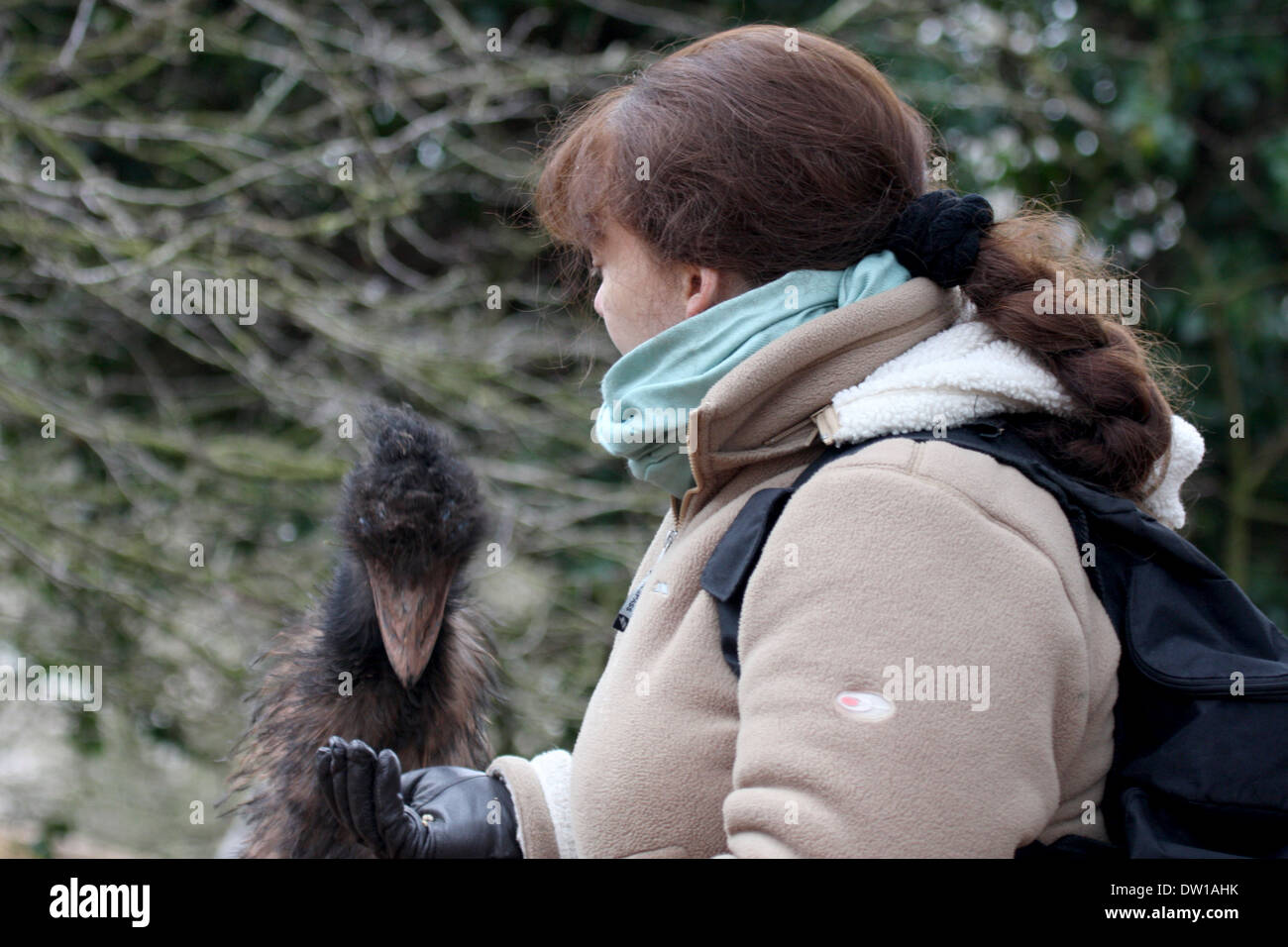 Girl feeding emu seeds by hand Stock Photo Alamy