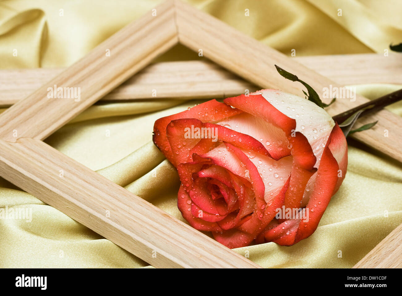 Red Rose Tea Water Enhancer