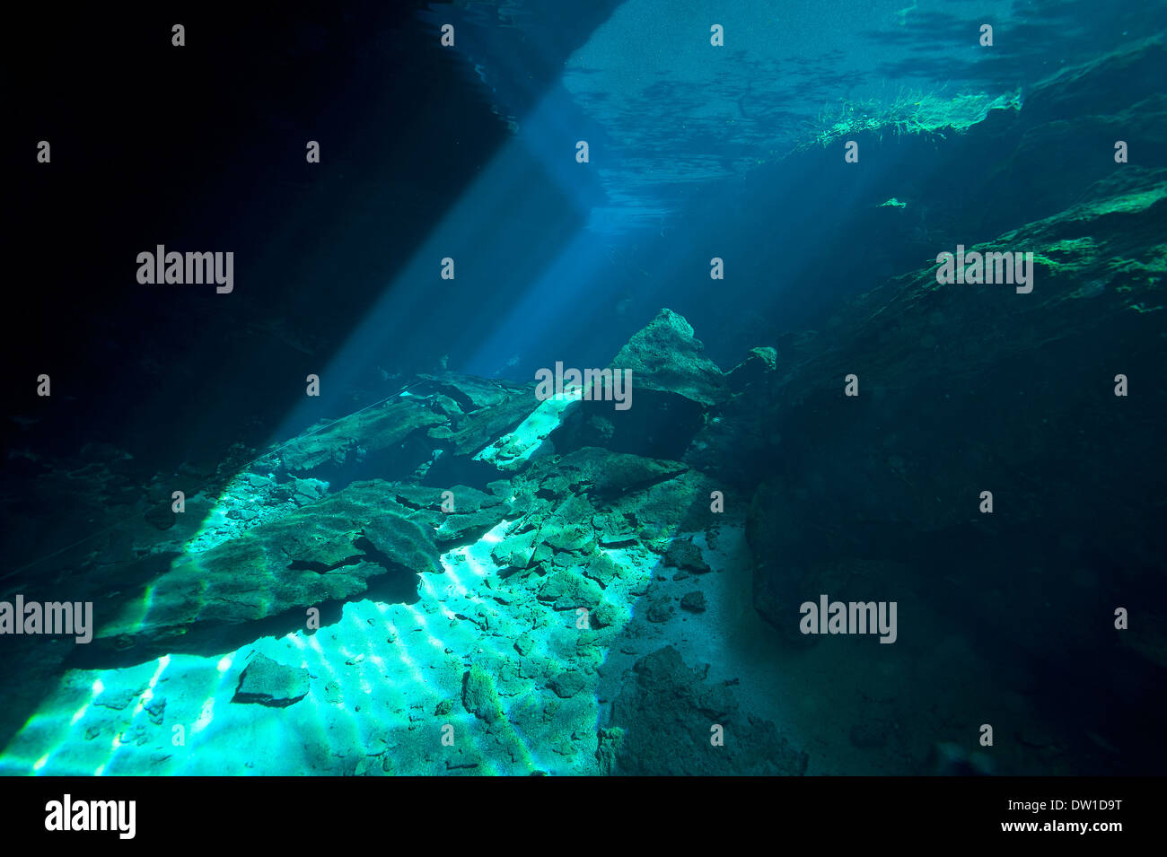 Scuba diver swimming thru the underwater Kulukan Cenote cave, Yucatan Peninsula, Mexico Stock Photo