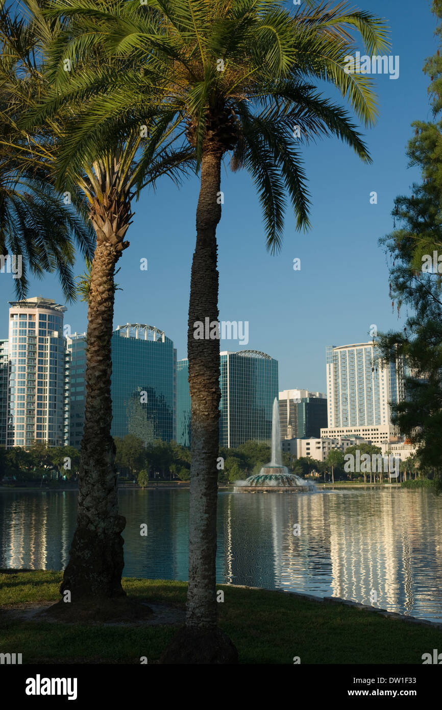 Orlando Florida Palm Trees Stock Photos & Orlando Florida Palm Trees