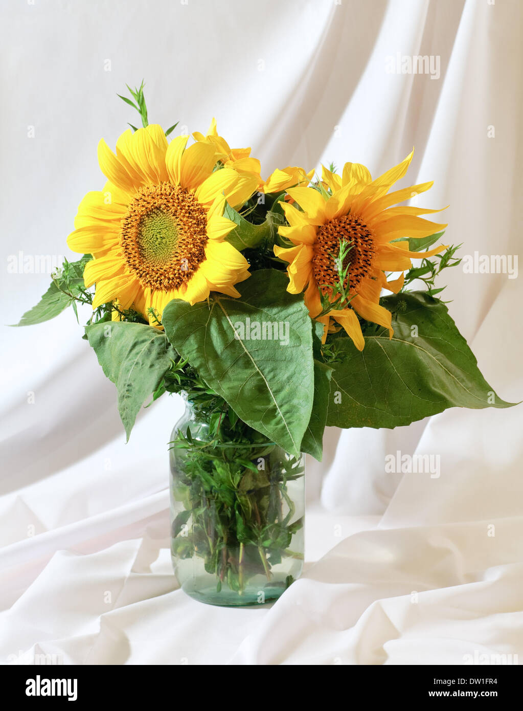 sunflower bouquet on white cloth background Stock Photo