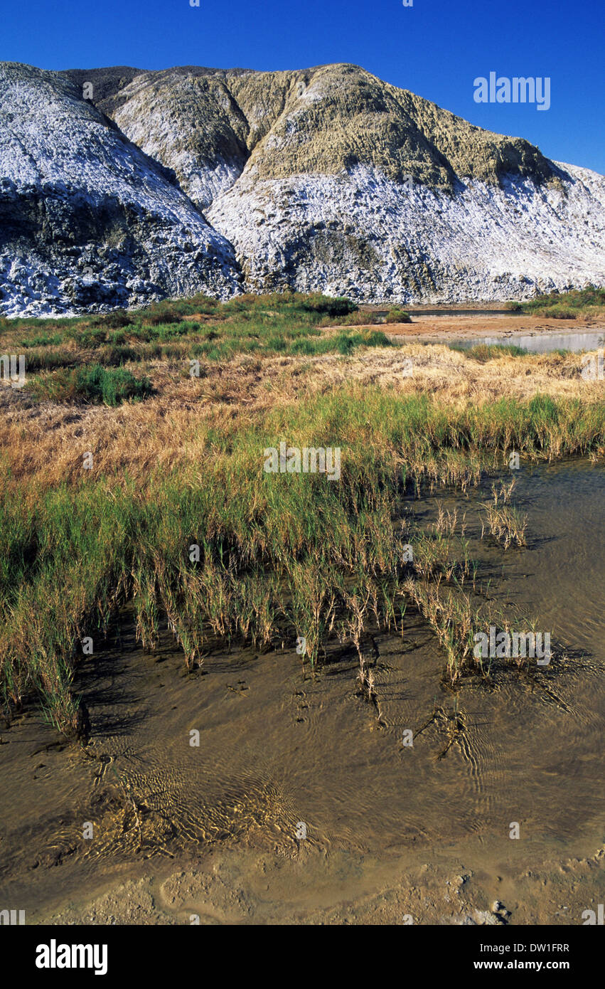 Elk248-1925v California, Death Valley National Park, Salt Creek, creek Stock Photo