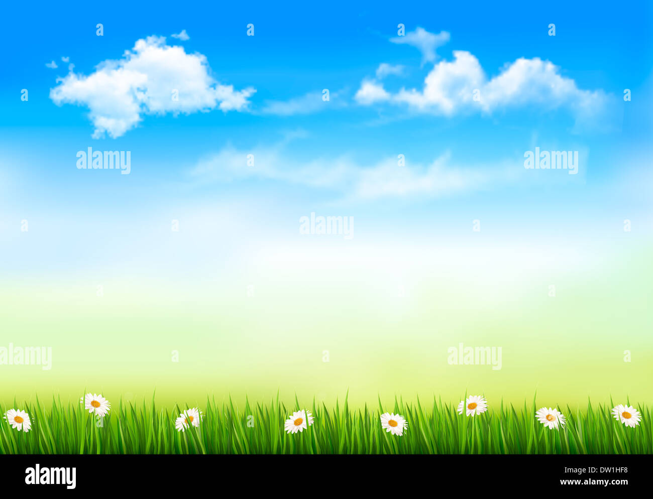 Summer nature background with green grass and sky . Vector Stock Photo -  Alamy