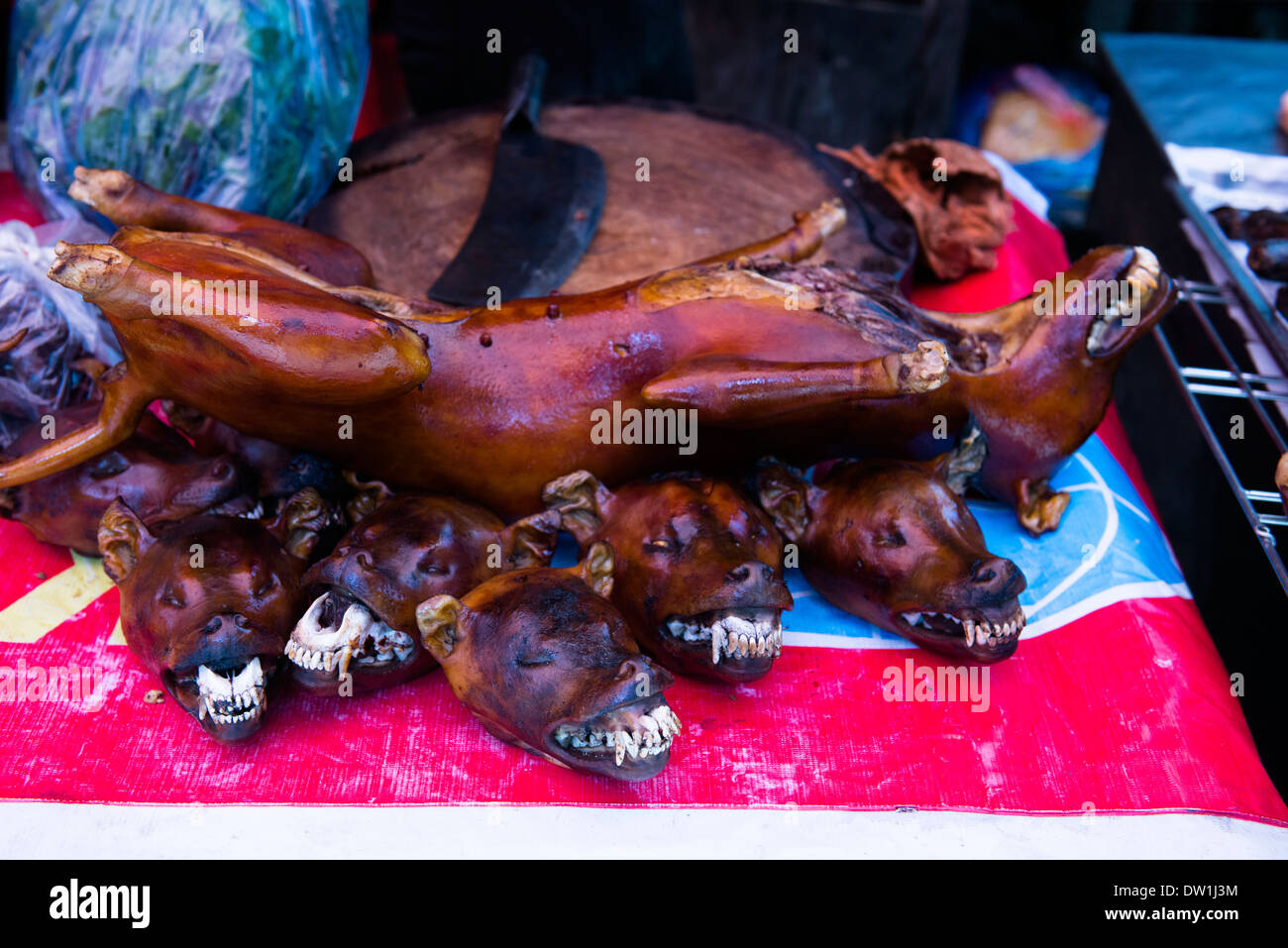 whole dogs meat for sale (Thit Cho), Hanoi, vietnam Stock Photo