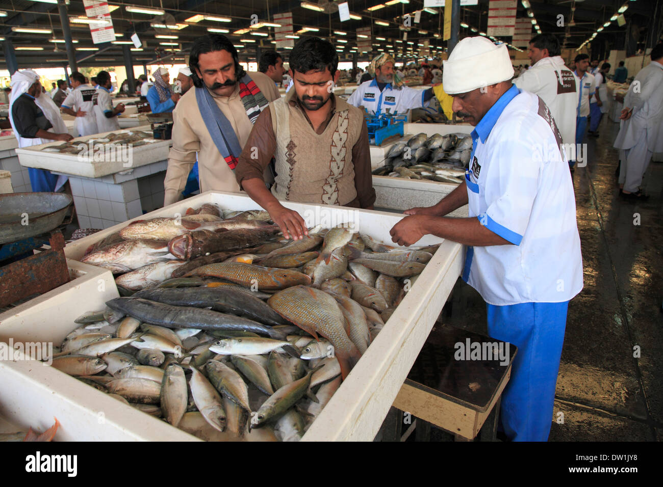 United Arab Emirates, Dubai, Deira, Fish Market Stock Photo Alamy