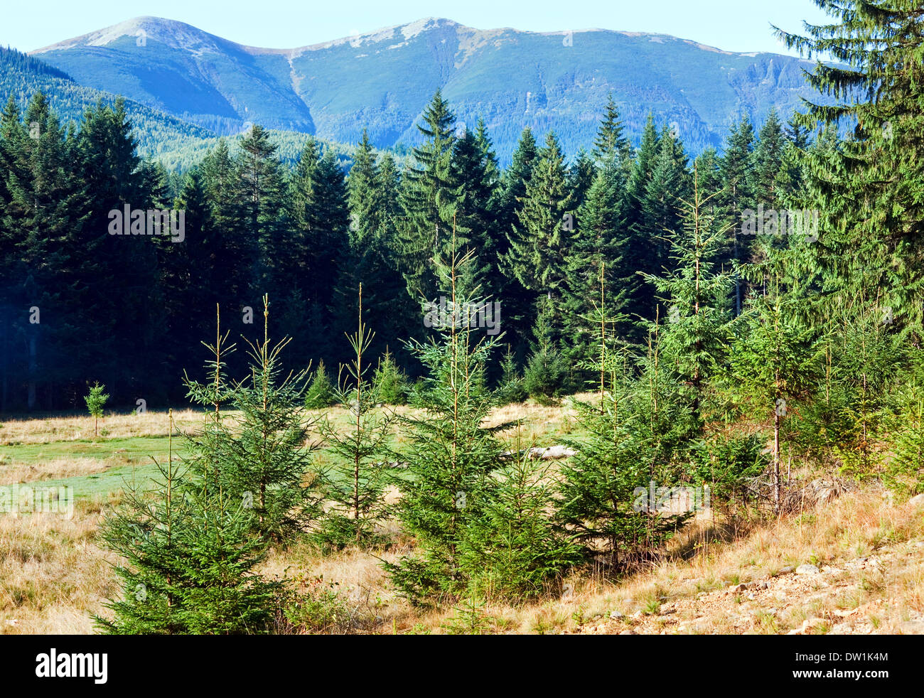 Misty morning landscape mountain hi-res stock photography and images ...