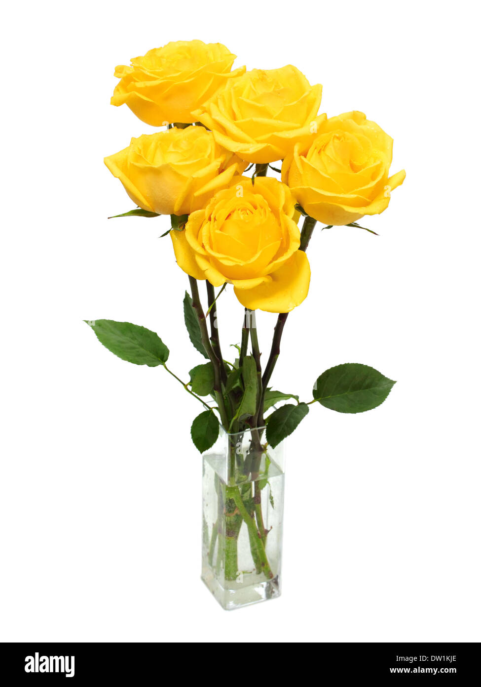 bouquet of yellow roses Stock Photo Alamy