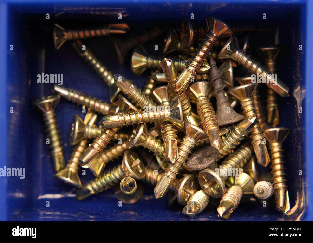 little screws in box Stock Photo Alamy