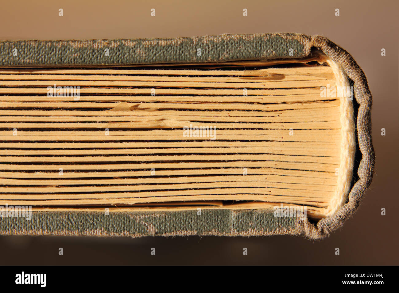 old book with cardboard pages Stock Photo Alamy