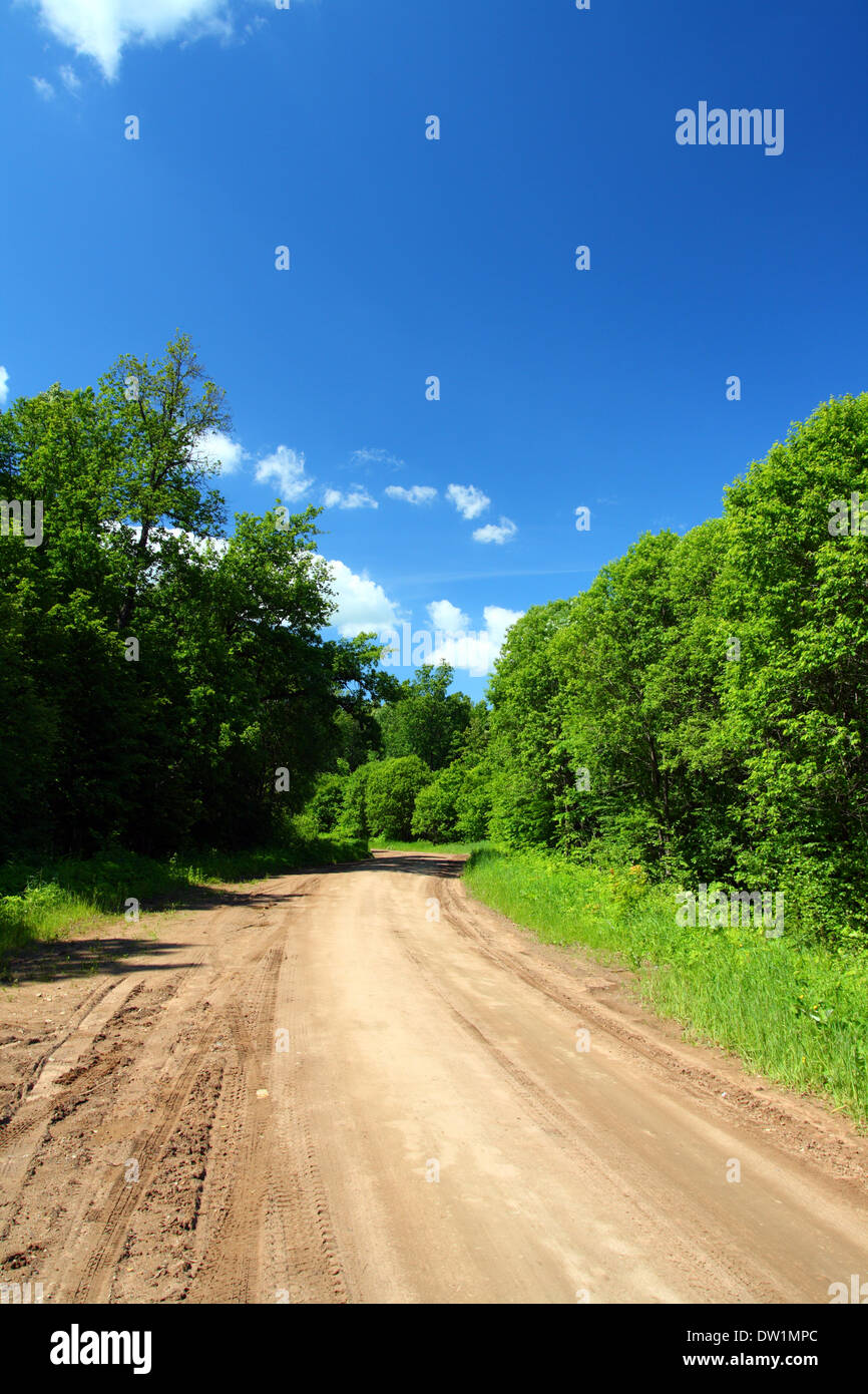 rural road in forest Stock Photo