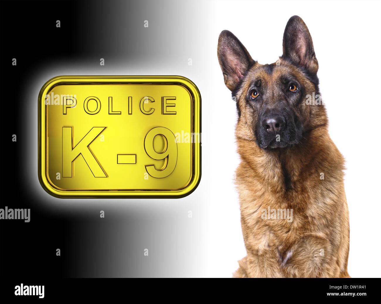 K9 Dogs Wallpapers  Wallpaper Cave