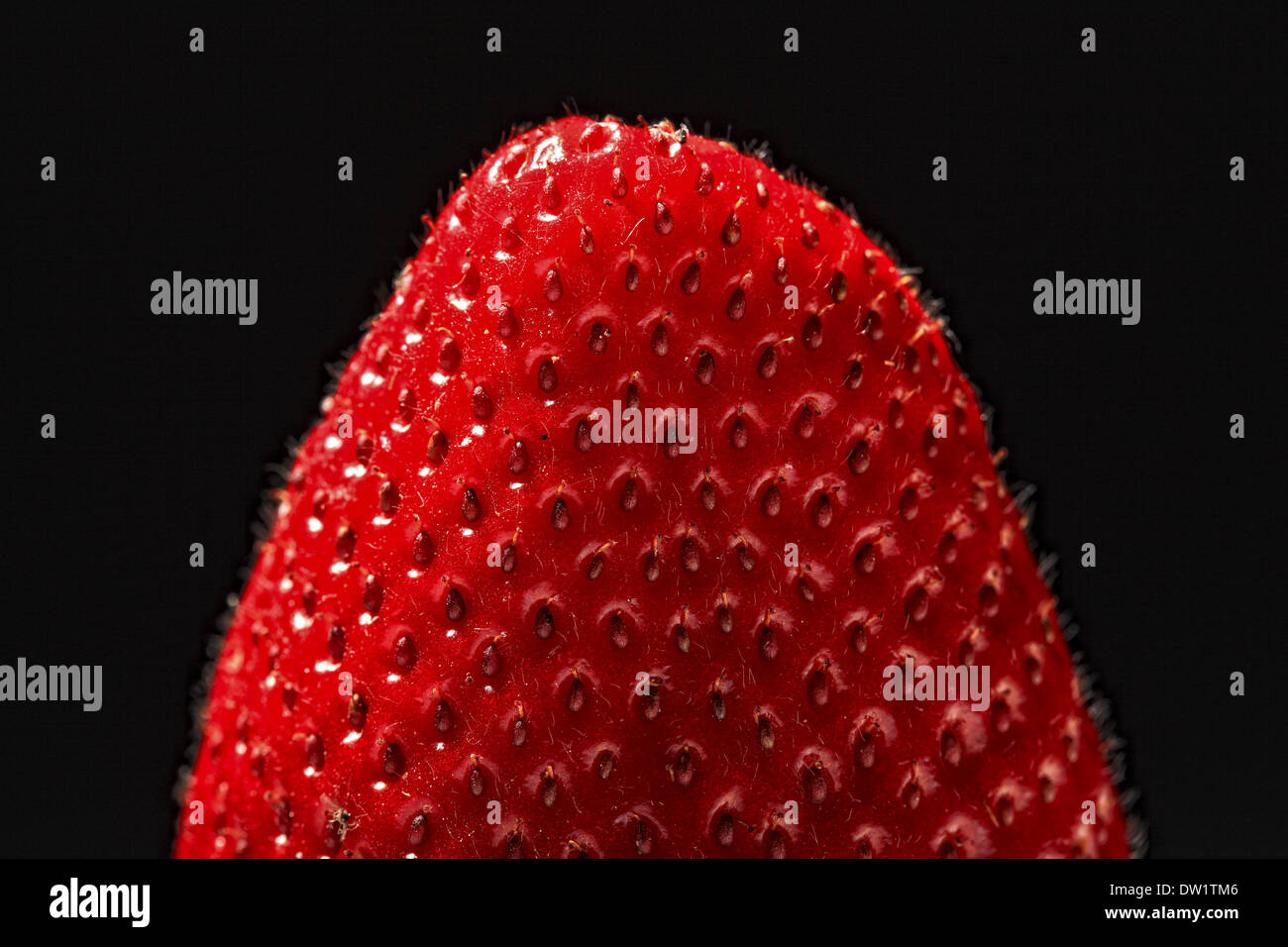 Closeup strawberry hi-res stock photography and images - Alamy