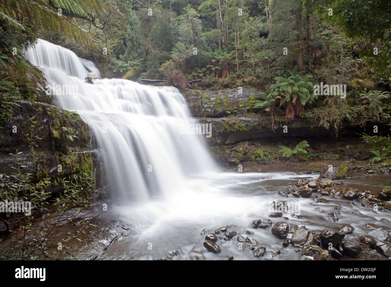 Liffey Falls Stock Photo