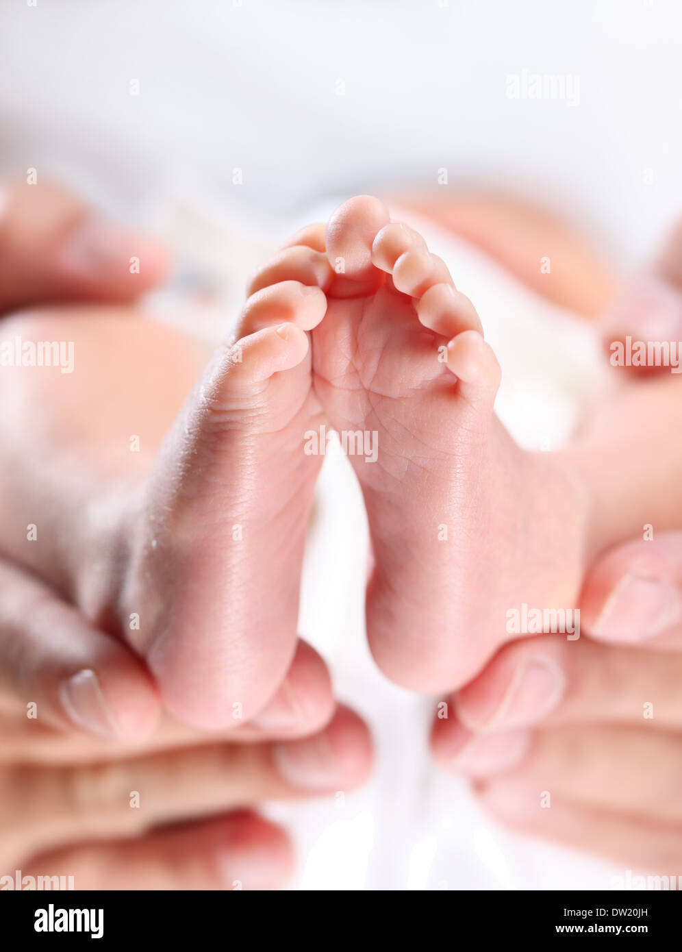 A parent's hands tenderly hold their newborn feet Stock Photo