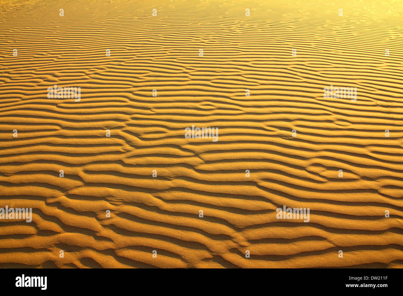 sand in desert ripple background Stock Photo