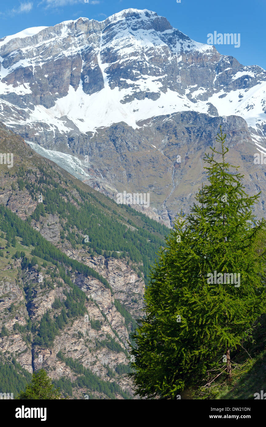 Summer Alps mountain Stock Photo - Alamy
