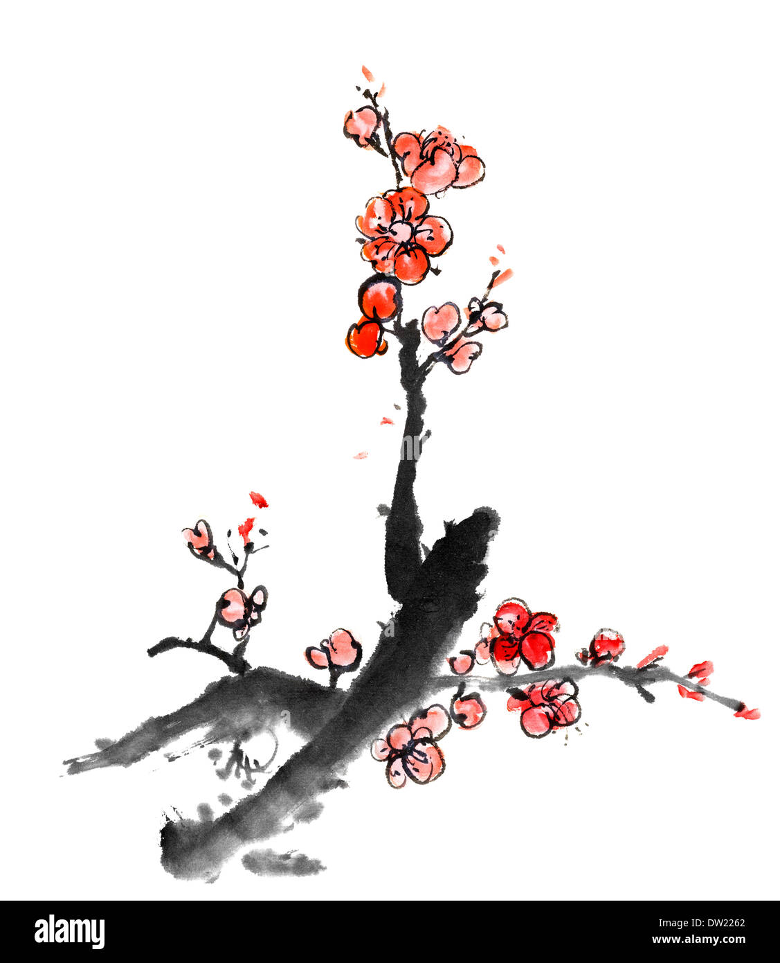 Chinese painting of plum blossom Stock Photo