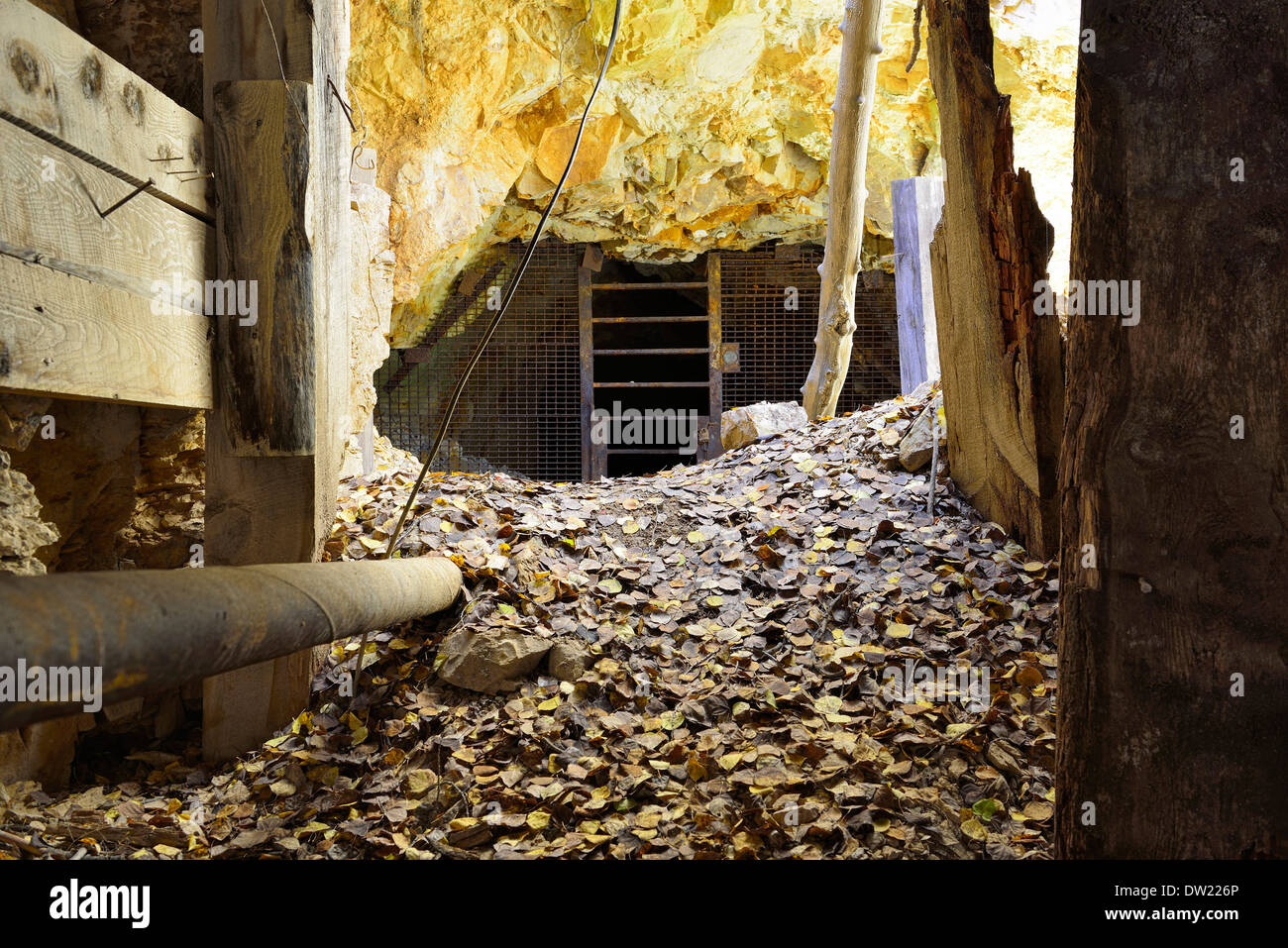 inside of an old abandoned gold mine in Colorado Stock Photo