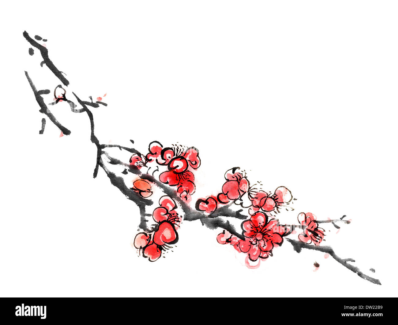 Chinese painting of plum blossom Stock Photo