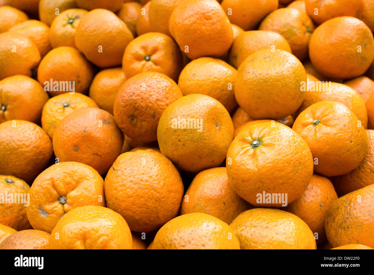 Tangerine Stock Photo