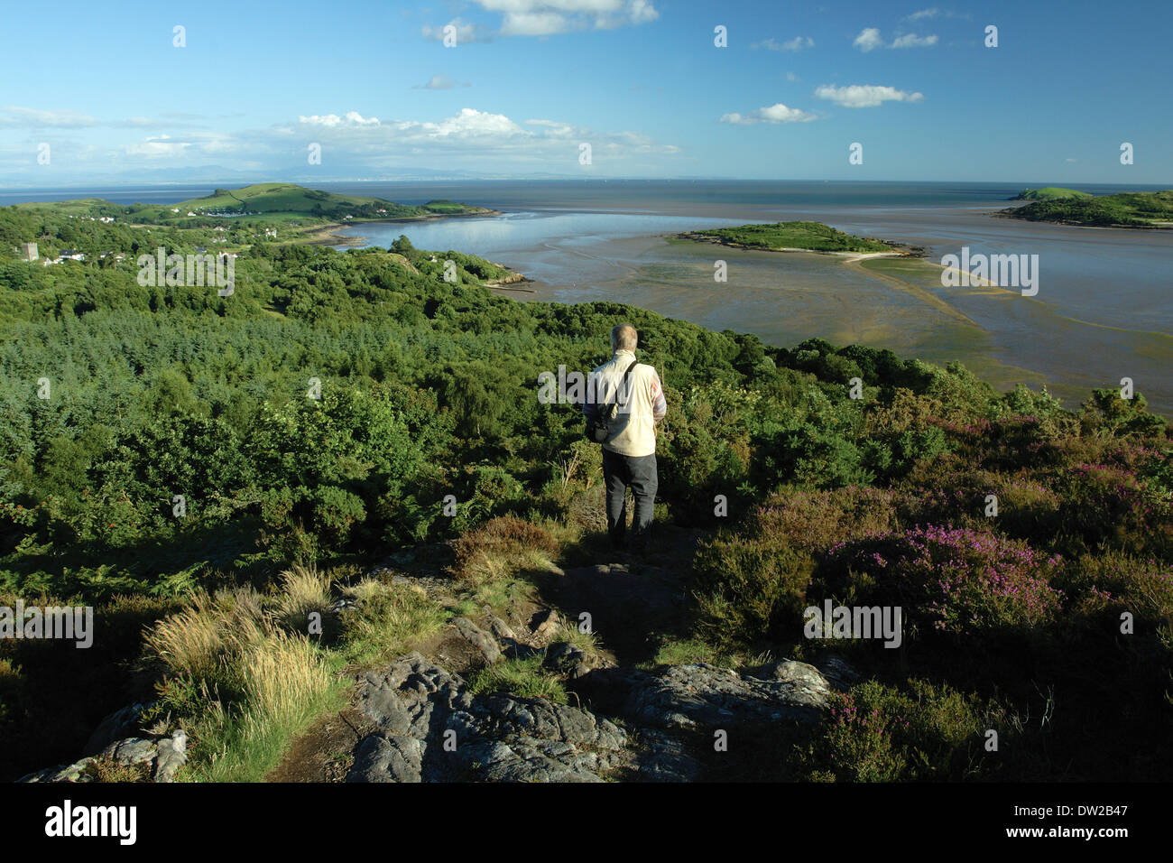 The Solway Firth, Rough Island, Hestan, Castle Point and Rockcliffe