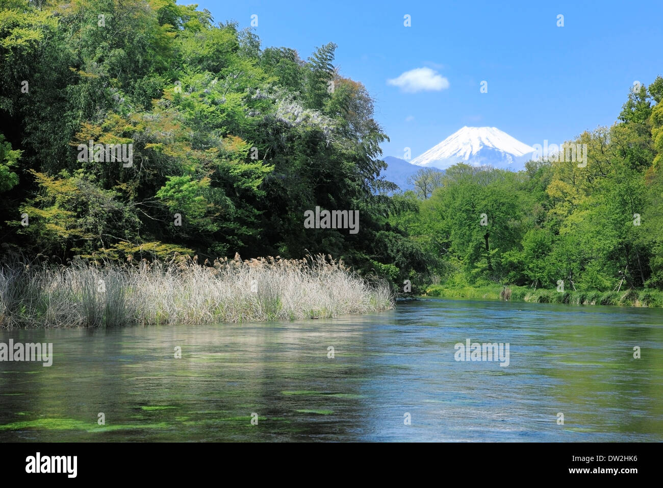 Fuji-Hakone-Izu National Park Stock Photo