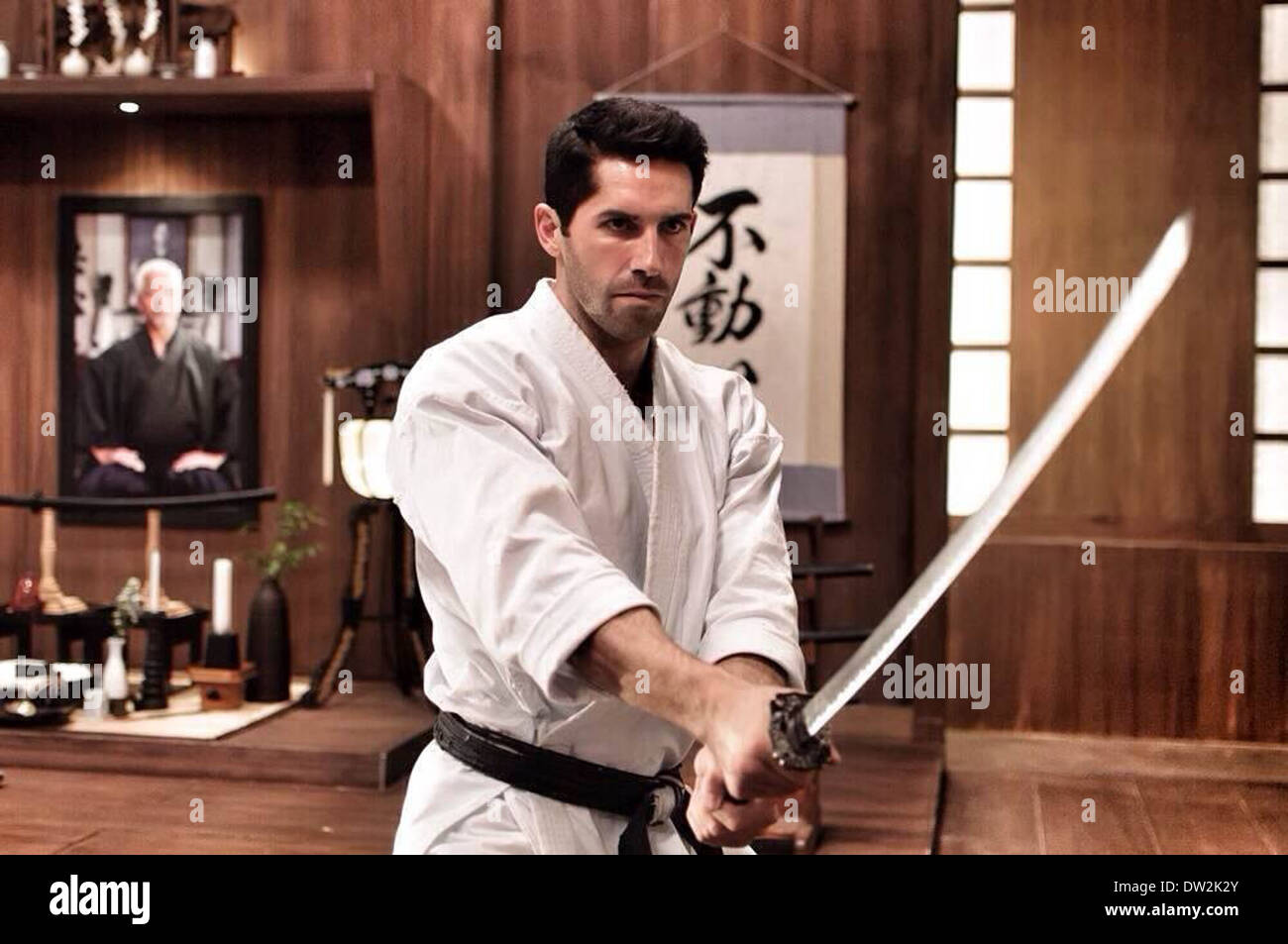 NINJA; SHADOW OF A TEAR 2013 Millenium Films production with Scott Adkins Stock Photo