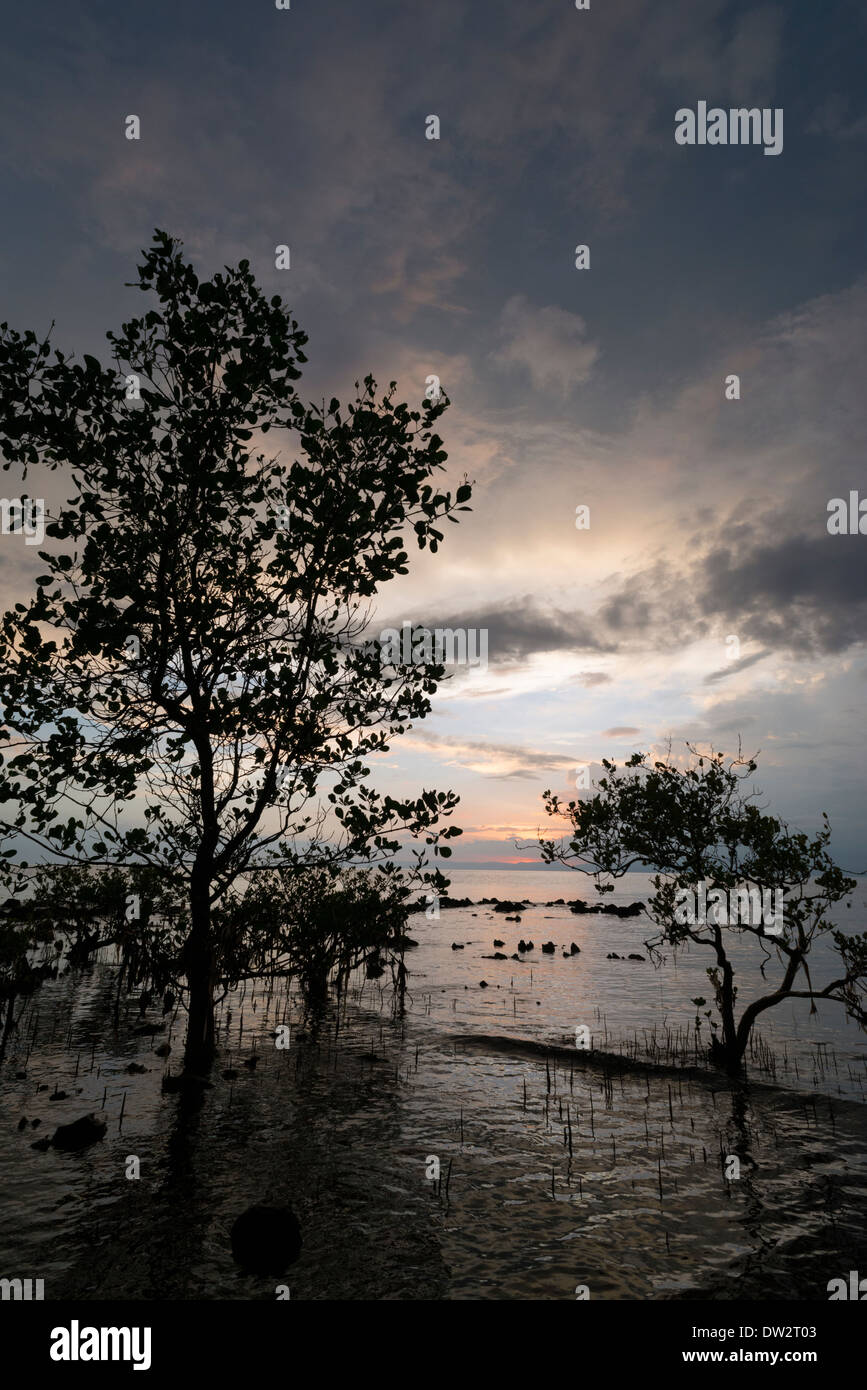 Rabbit island cambodia hi-res stock photography and images - Alamy