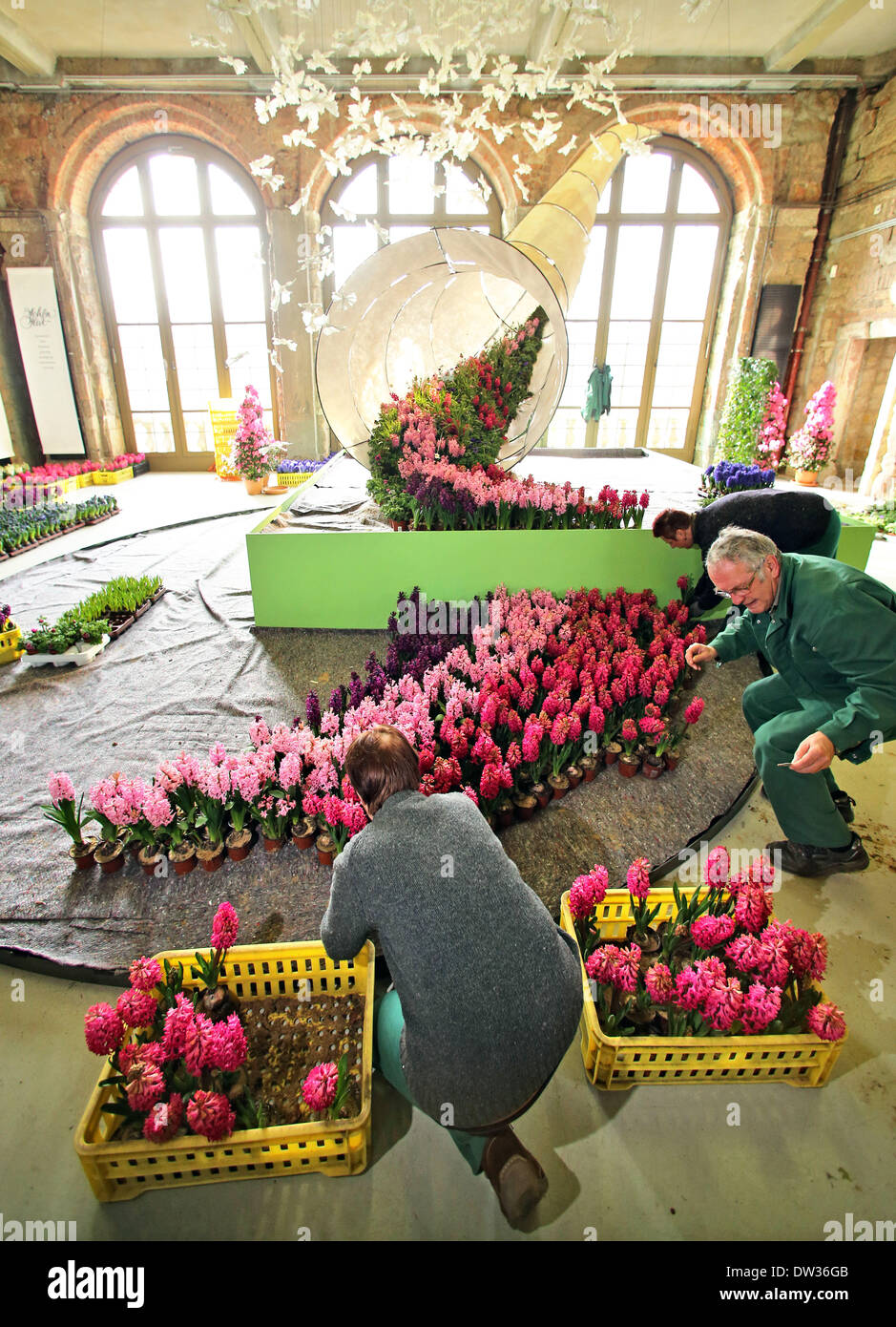 Dresden, Germany. 26th Feb, 2014. Gardeners plant hyacinths on for the
