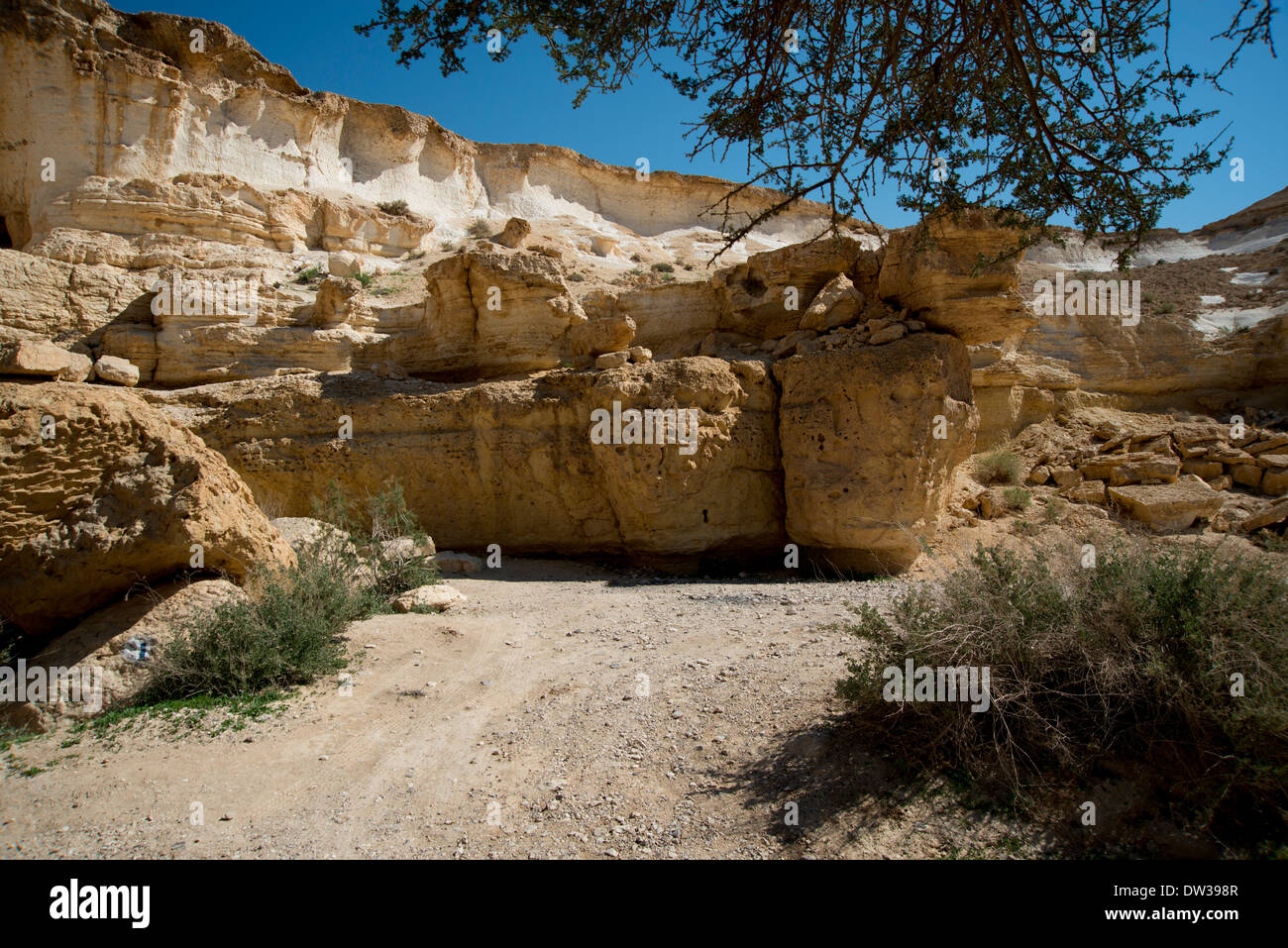 Negev Desert,Wadi Zin, Wilderness of Zin , Israel,Gev Zarchan Stock