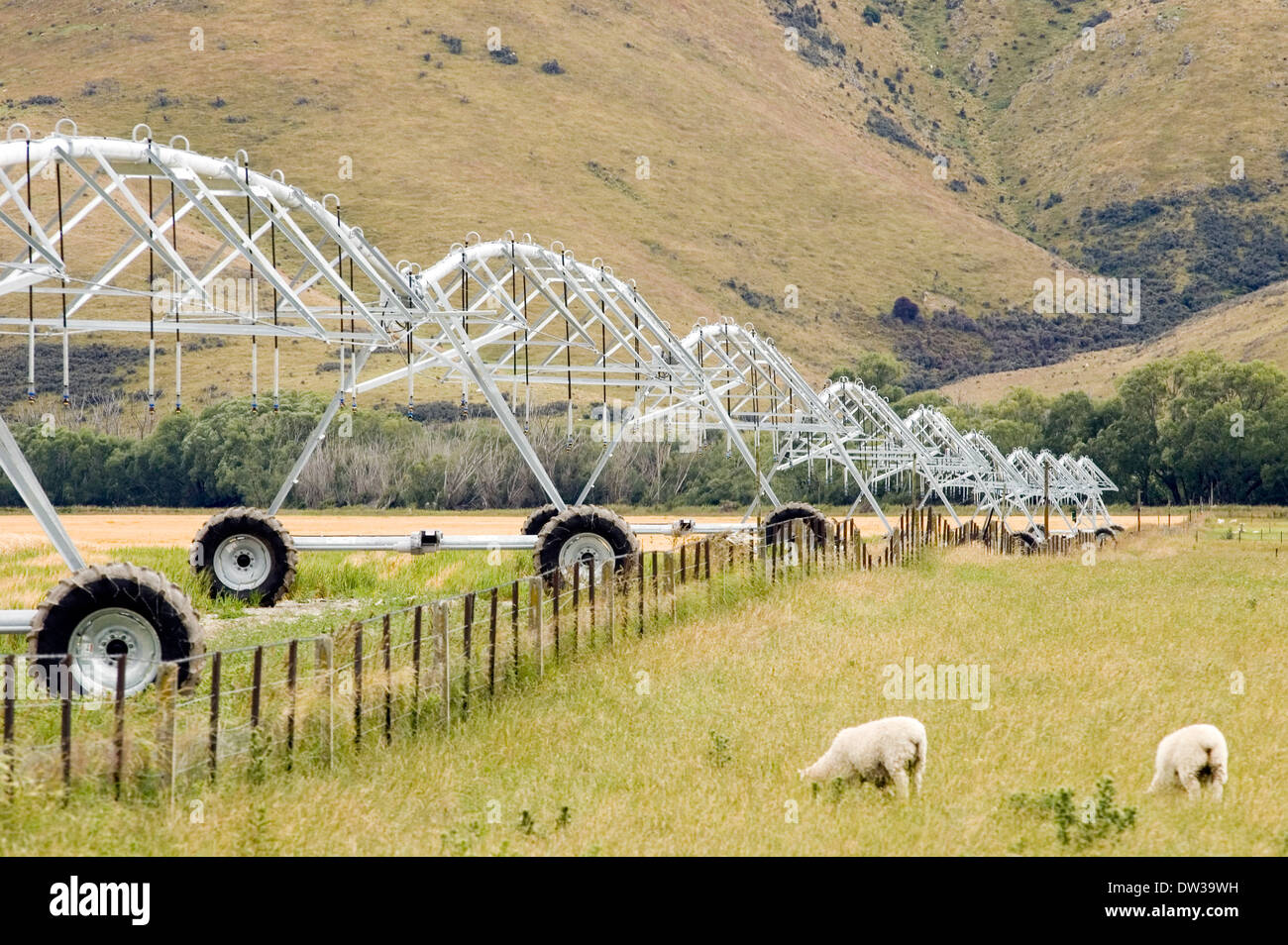 Irrigation wheeled system watering fields or crops in New Zealand Stock Photo