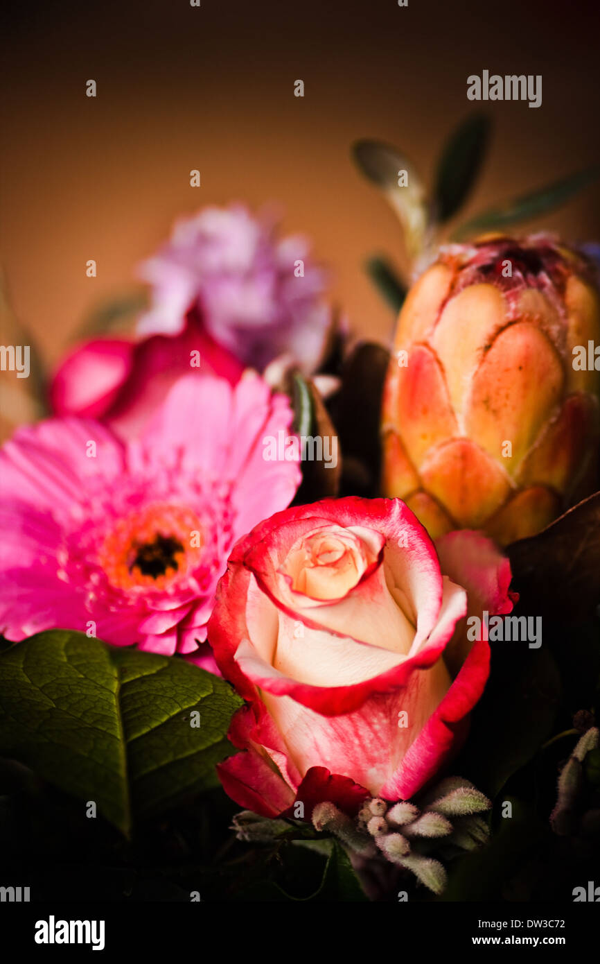 Close up image with mixed colorful flowers and colorful background indoors Stock Photo