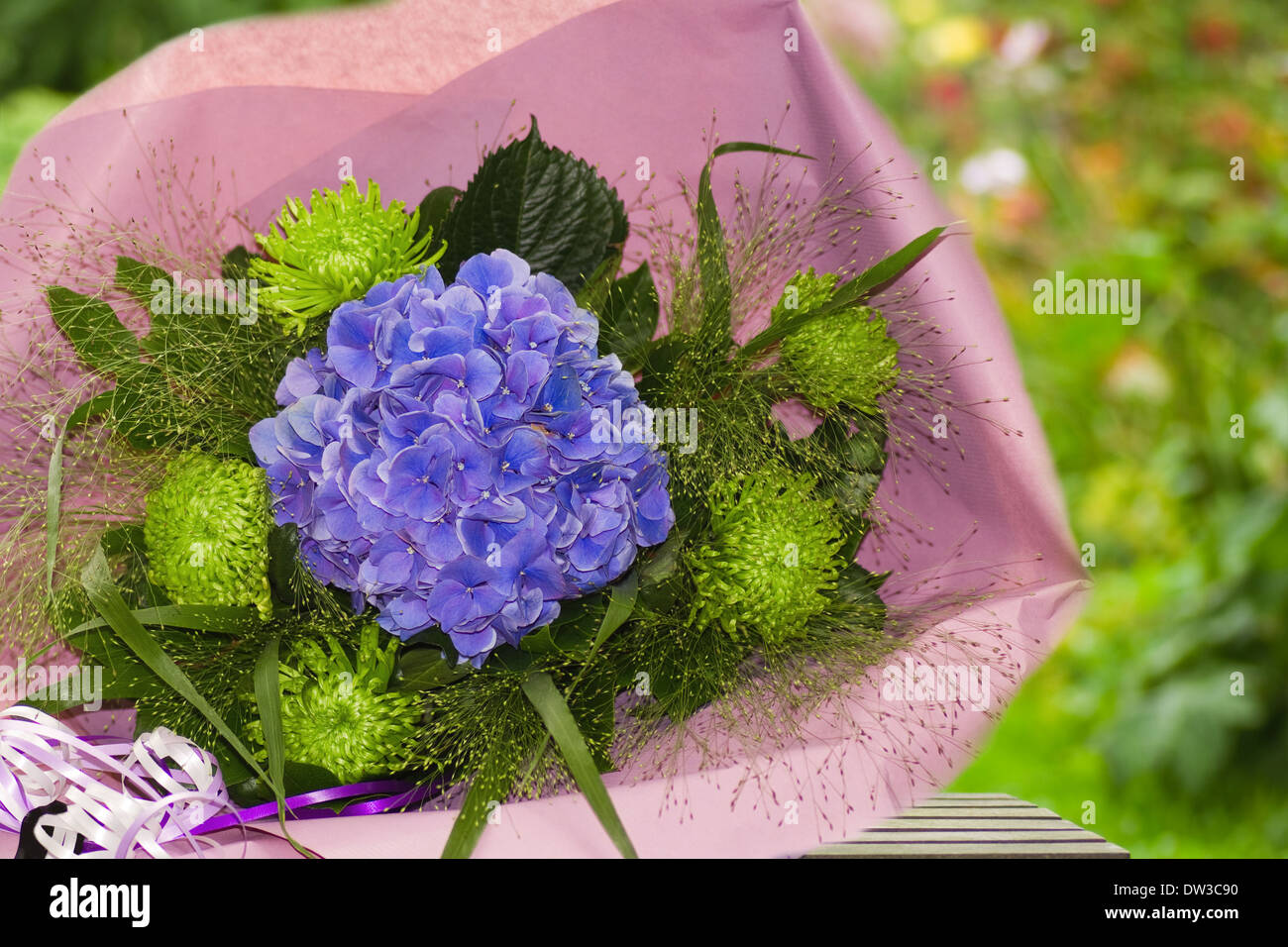 Mixed blue and green bouquet of summer flowers wrapped in pink paper with summer garden background Stock Photo