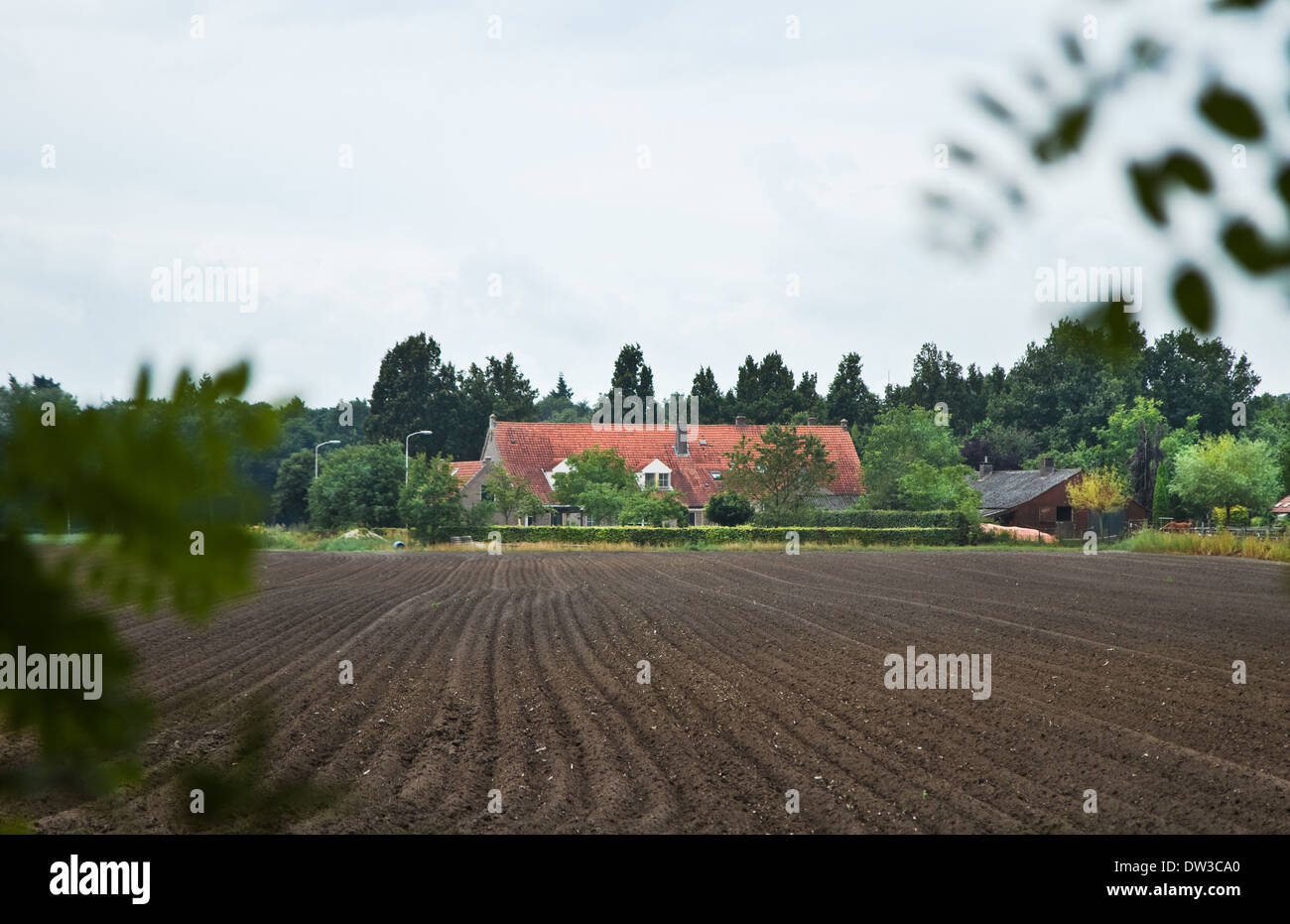Agriculture - Plowed field and old farm in Dutch countrylandscape in summer Stock Photo