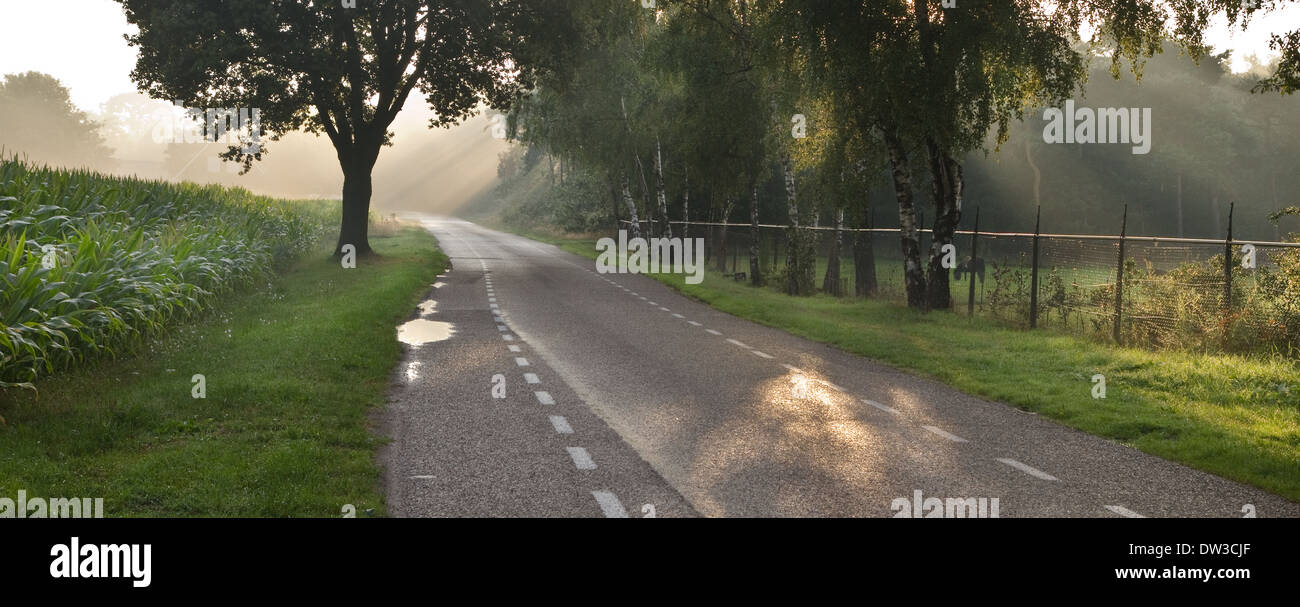 Pano Dutch agricultural landscape with sunbeams at sunrise Stock Photo