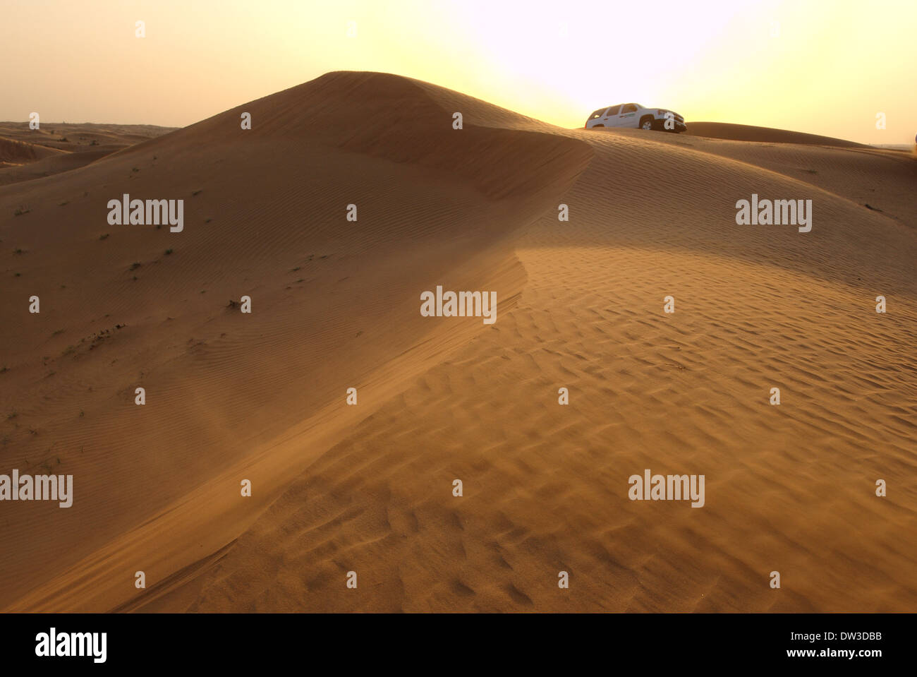 desert of Sharjah, Sharjah (emirate), UAE Stock Photo