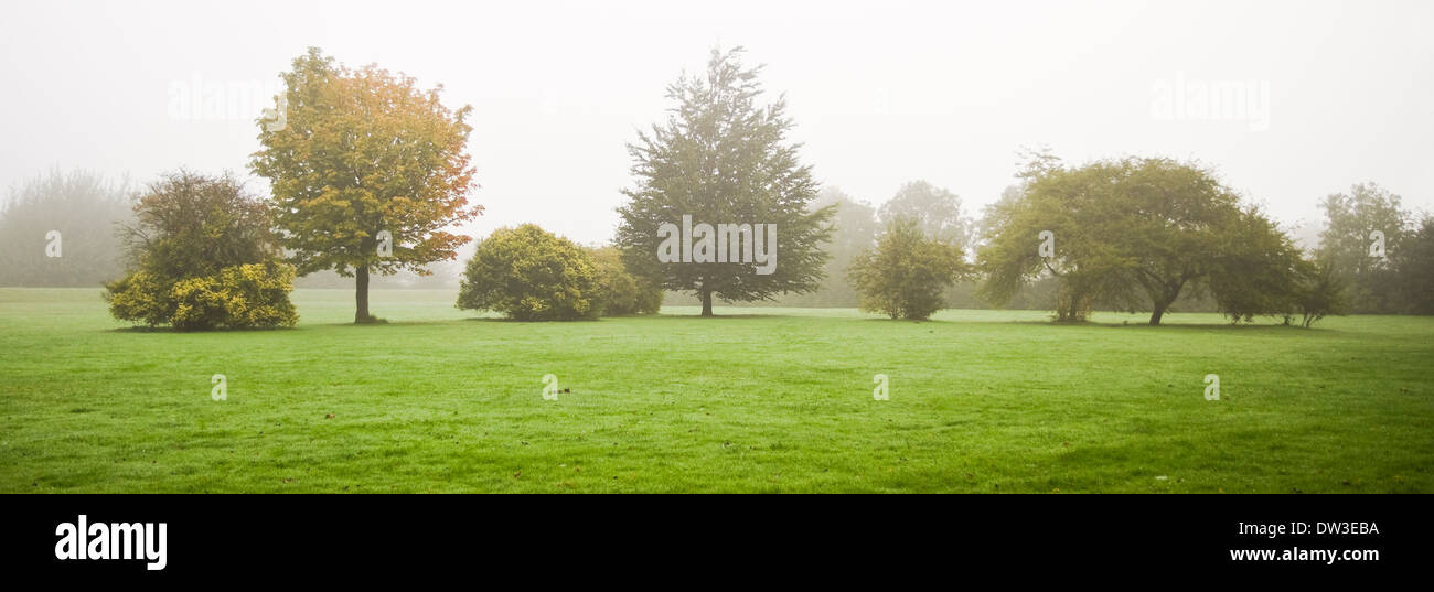 Long panorama photo with trees and grass in quiet and misty rural landscape in late summer on early morning Stock Photo
