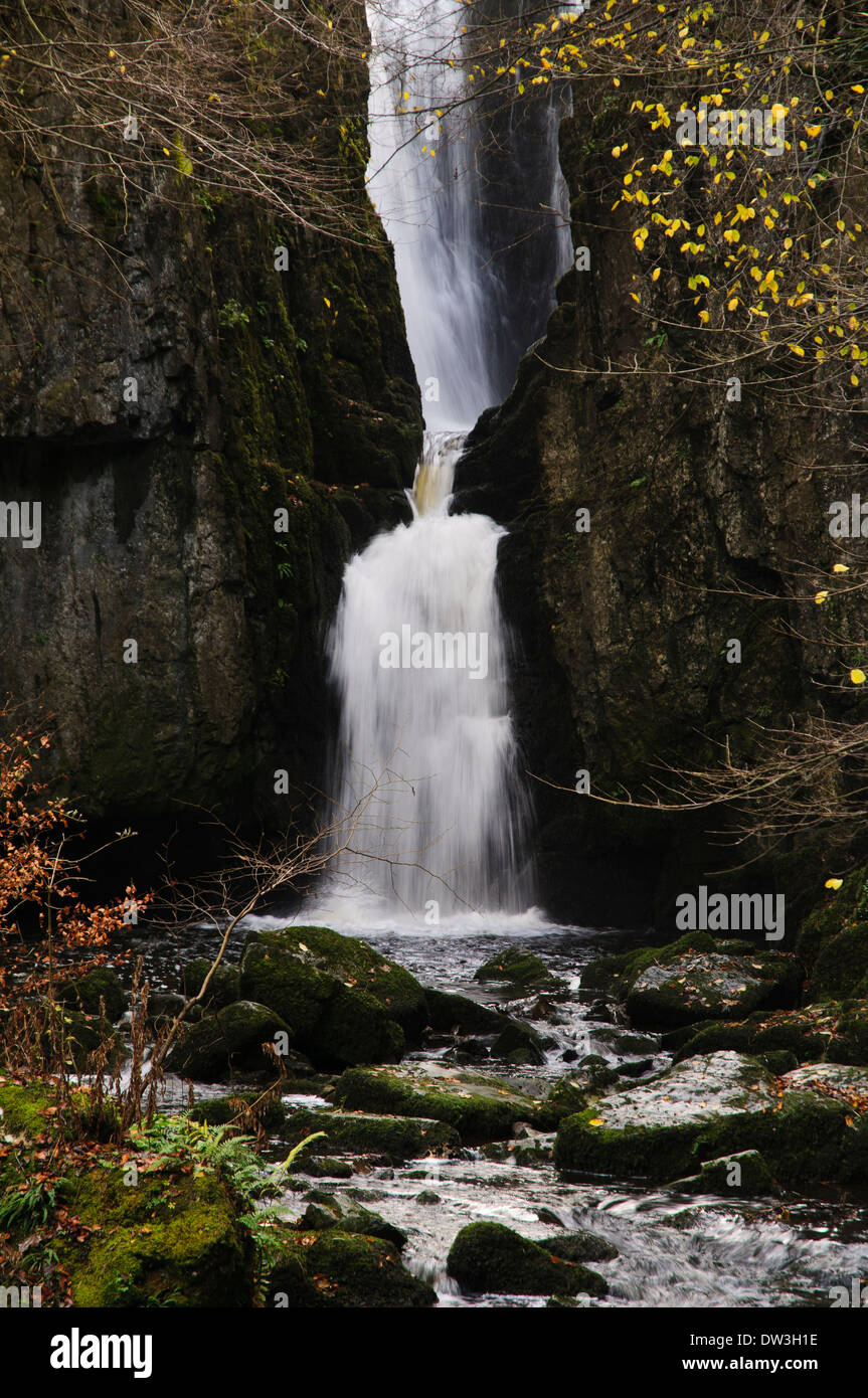 Catrigg Force waterfall on Stainforth Beck in the Yorkshire Dales
