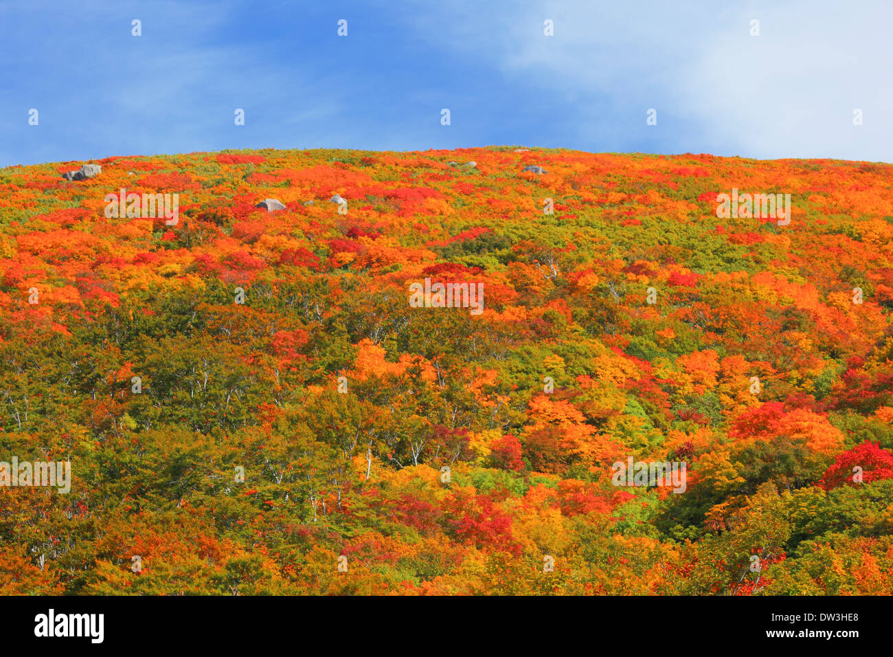 Mount Chokai High Resolution Stock Photography And Images Alamy Mount Chokai High Resolution Stock Photography And Images Alamy