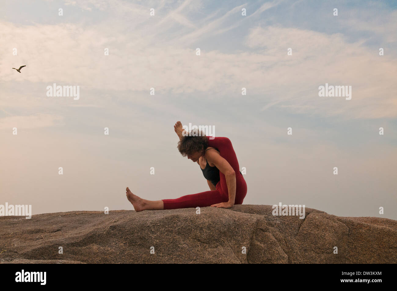 Iyengar Yoga Instructor Demonstrates Eka Pada Sirsasana Preparation Inverted Stock Photo Alamy
