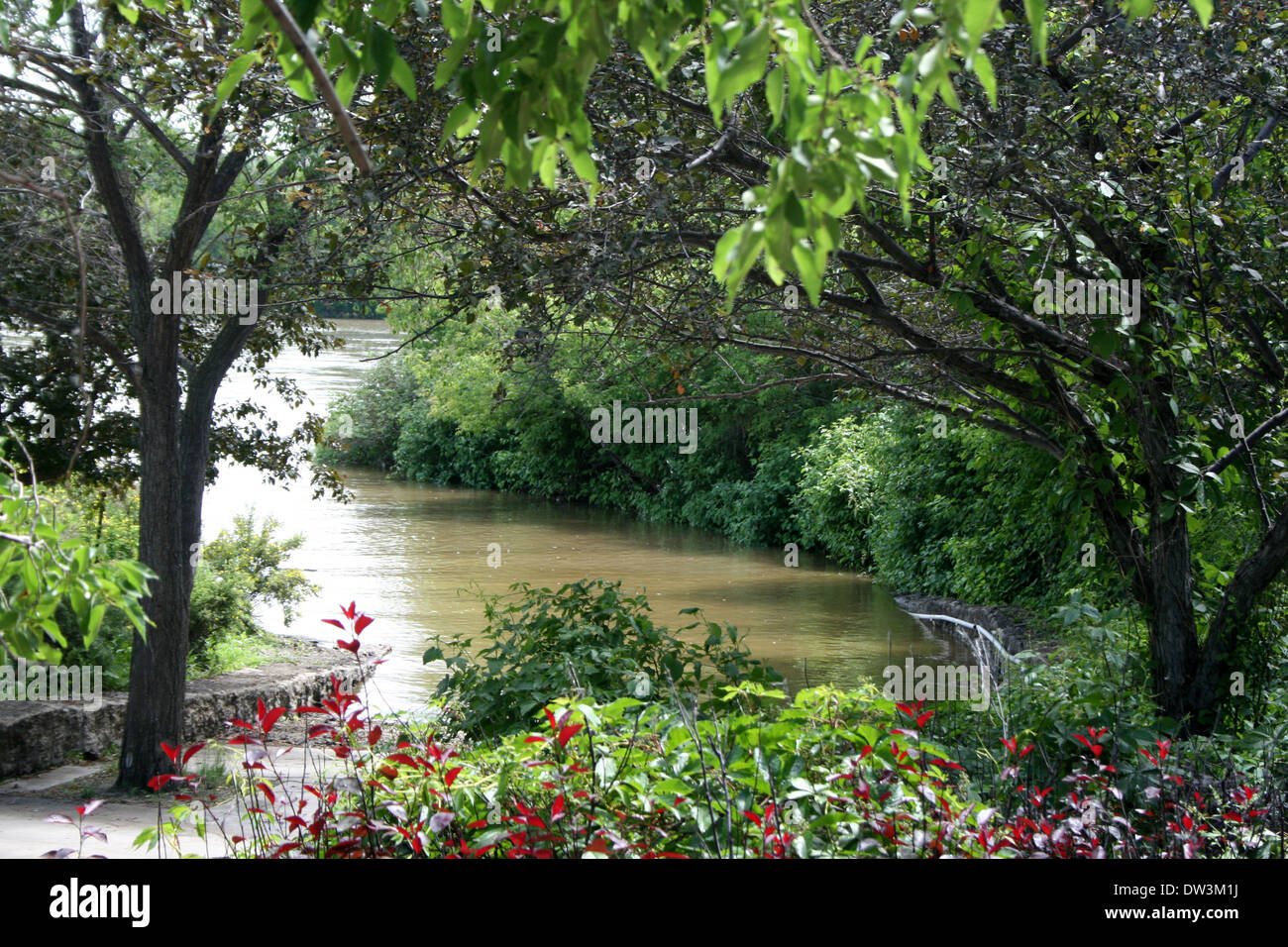 Winnipeg, trees around the path during the river flood Stock Photo Alamy