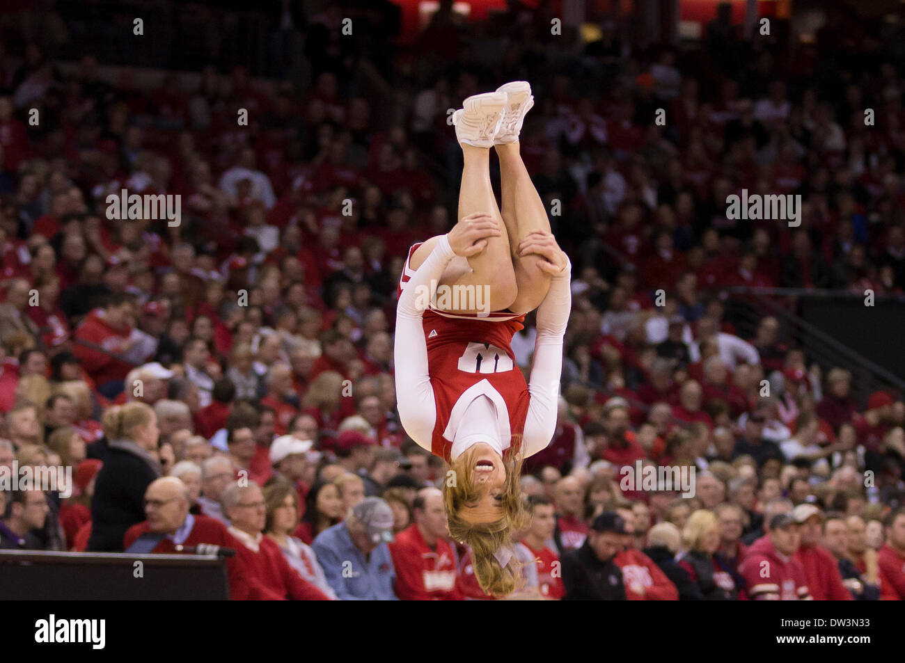 Madison, Wisconsin, USA. 25th Feb, 2014. February 25, 2014: A Wisconsin cheerleader does a backflip during the NCAA Basketball game between the Indiana Hoosiers and the Wisconsin Badgers at the Kohl Center in Madison, WI. Wisconsin defeated Indiana 69-58. John Fisher/CSM/Alamy Live News Stock Photo