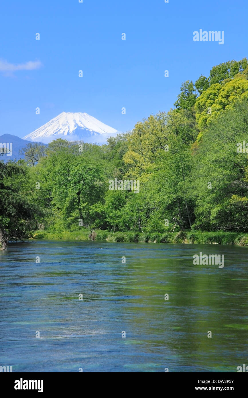 View of Mount Fuji Stock Photo