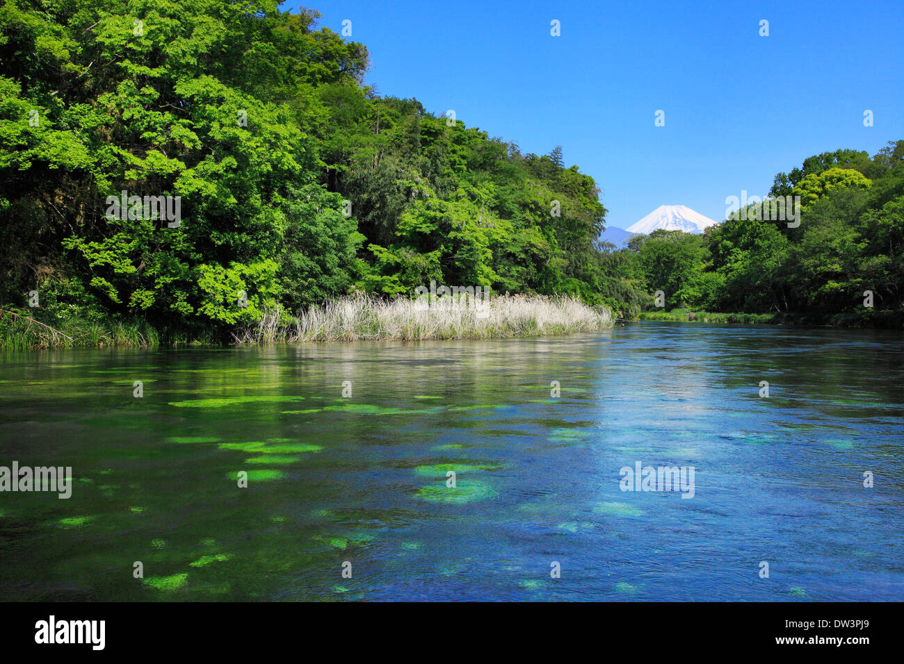Kakita River, Shizuoka Prefecture Stock Photo